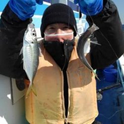 あい川丸 釣果