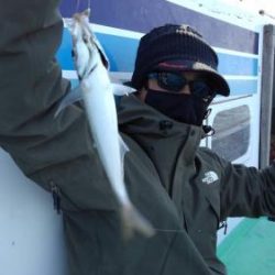あい川丸 釣果