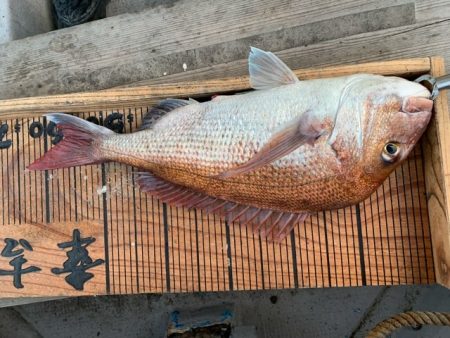 幸吉丸 釣果
