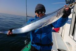 KONAYAーMARU(こなや丸) 釣果