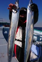 KONAYAーMARU(こなや丸) 釣果