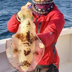 フィッシングボートACE(エース) 釣果