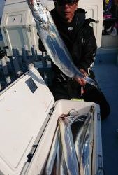 KONAYAーMARU(こなや丸) 釣果