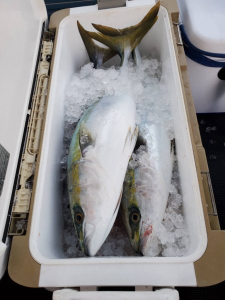 武士(SAMURAI) 釣果