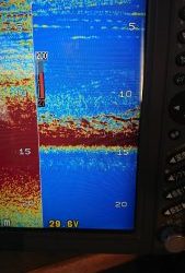 KONAYAーMARU(こなや丸) 釣果