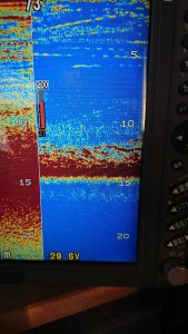 KONAYAーMARU(こなや丸) 釣果