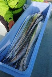 KONAYAーMARU(こなや丸) 釣果