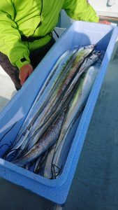 KONAYAーMARU(こなや丸) 釣果