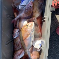 フィッシング太陽 釣果