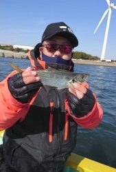 KONAYAーMARU(こなや丸) 釣果