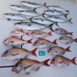 フィッシングボートACE（エース） 釣果