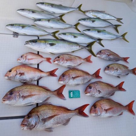 フィッシングボートACE（エース） 釣果