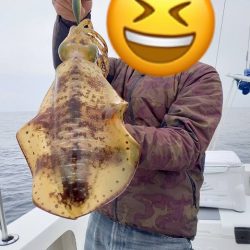 フィッシングボートACE(エース) 釣果