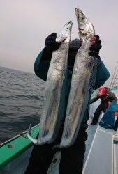 KONAYAーMARU(こなや丸) 釣果