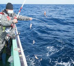 恵陽丸 釣果