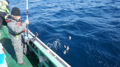 恵陽丸 釣果