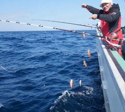 恵陽丸 釣果
