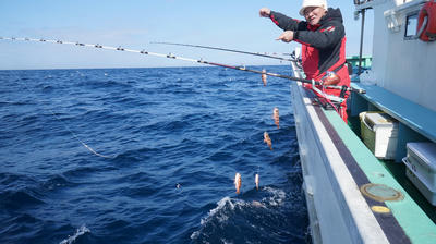 恵陽丸 釣果
