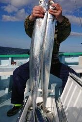 ＫＯＮＡＹＡｰＭＡＲＵ（こなや丸） 釣果