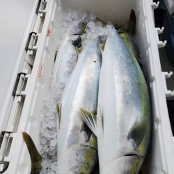 武士(SAMURAI) 釣果