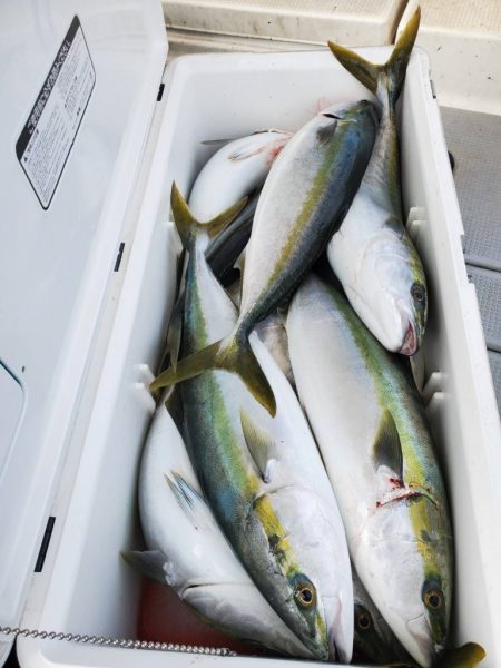 武士(SAMURAI) 釣果