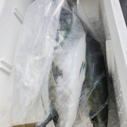 武士(SAMURAI) 釣果