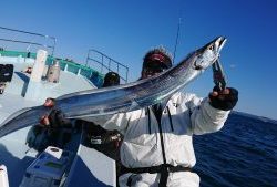 KONAYAーMARU(こなや丸) 釣果