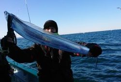 KONAYAーMARU(こなや丸) 釣果