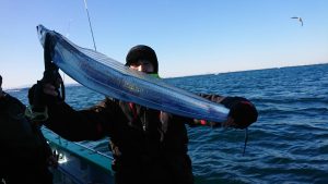 KONAYAーMARU(こなや丸) 釣果