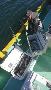 KONAYAーMARU(こなや丸) 釣果