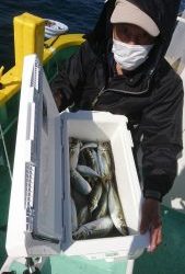 KONAYAーMARU(こなや丸) 釣果