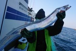 KONAYAーMARU(こなや丸) 釣果