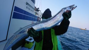 KONAYAーMARU(こなや丸) 釣果