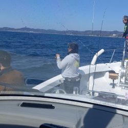 フィッシングボートACE（エース） 釣果