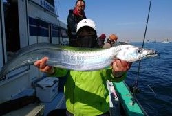 KONAYAーMARU(こなや丸) 釣果