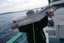 KONAYAーMARU(こなや丸) 釣果