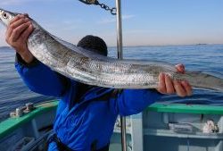 KONAYAーMARU(こなや丸) 釣果