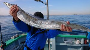 KONAYAーMARU(こなや丸) 釣果