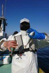 ＫＯＮＡＹＡｰＭＡＲＵ（こなや丸） 釣果