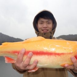 フィッシングレイクたかみや 釣果