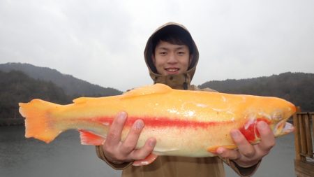 フィッシングレイクたかみや 釣果