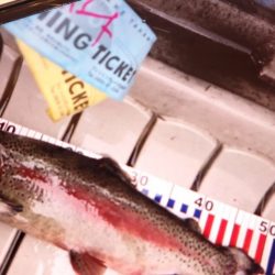 フィッシングレイクたかみや 釣果