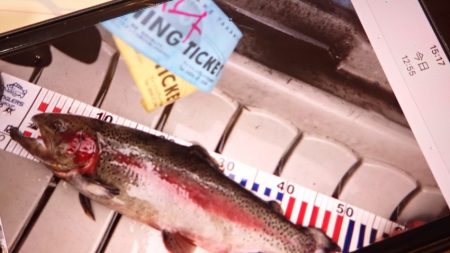 フィッシングレイクたかみや 釣果