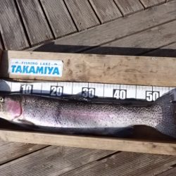 フィッシングレイクたかみや 釣果