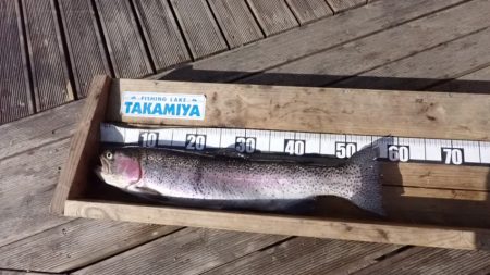 フィッシングレイクたかみや 釣果