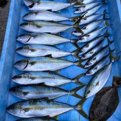 まるいち丸 ZERO-1 釣果