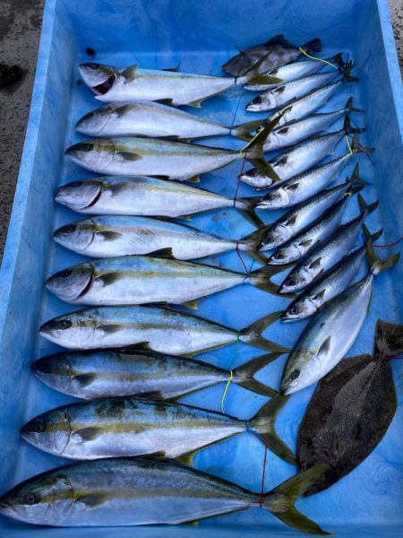 まるいち丸 ZERO-1 釣果