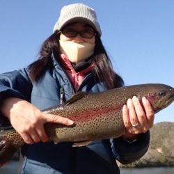 フィッシングレイクたかみや 釣果