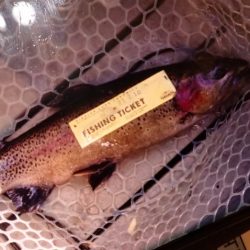 フィッシングレイクたかみや 釣果