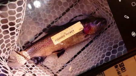 フィッシングレイクたかみや 釣果